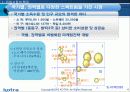 유럽시장에서의 효과적 마케팅 4페이지