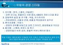 유럽시장에서의 효과적 마케팅 8페이지