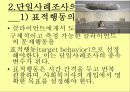 사회복지조사방법론 단일사례조사설계 - 유래와 특성, 과정, 유형, 결과분석, 장단점 10페이지