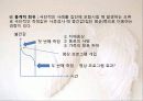 실험조사설계 11페이지