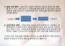 실험조사설계 12페이지