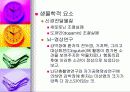 13조강 박 장 애 6페이지