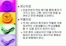 13조강 박 장 애 16페이지