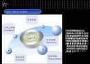 9조_프로젝트_1_ NGO와 지역사회(성남 YWCA) 5페이지