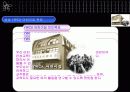 9조_프로젝트_1_ NGO와 지역사회(성남 YWCA) 14페이지