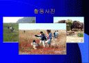 시화호와 NGO 17페이지