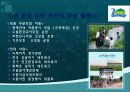 우리 지역사회 NGO의 모습 14페이지