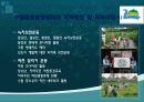 우리 지역사회 NGO의 모습 15페이지