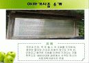 야마기시즘(산안마을 탐방기) 3페이지