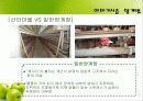 야마기시즘(산안마을 탐방기) 13페이지