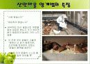 야마기시즘(산안마을 탐방기) 15페이지