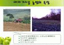 야마기시즘(산안마을 탐방기) 17페이지