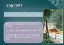 안솔기 생태마을 3페이지