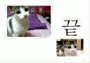 [연구 논문 발표 유통기관 경영론] 국내의 통합 마일리지 제도가 참여한 개별기업의 고객 충성도에 미치는 영향 - OK캐쉬백을 중심으로 17페이지