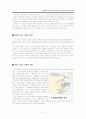개항을 전후한 한중일 삼국의 사회경제와 대응전략의 비교 12페이지