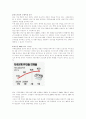 [개방경제론] 미국 금융위기의 원인과 전망 17페이지