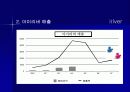 국제경영론 30페이지