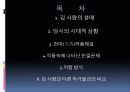 김 사량-친일문제와 저항방식 2페이지