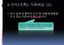 김 사량-친일문제와 저항방식 10페이지