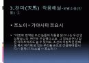 김 사량-친일문제와 저항방식 13페이지