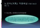 김 사량-친일문제와 저항방식 14페이지