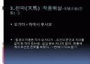 김 사량-친일문제와 저항방식 15페이지