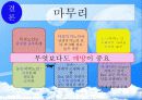 독거노인  25페이지