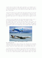 다국적 기업 조사 - 보잉(Boeing)사 조사  17페이지