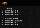 성비행, 청소년 성매매 (대책중심) 2페이지