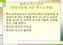 특수교육학 개론 20페이지