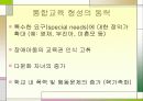 특수교육학 개론 21페이지