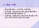 호신술의 역학적 기초 14페이지