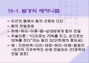 호신술의 역학적 기초 26페이지