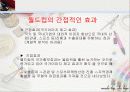 대중매체 속 연예인과 소비와의 관계 12페이지