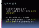 Tomorrow is another day(안락사) 15페이지