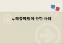 위생 해충의 환경문제와  대책 14페이지
