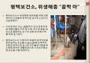 위생 해충의 환경문제와  대책 15페이지