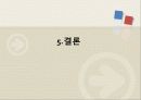 위생 해충의 환경문제와  대책 20페이지