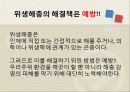 위생 해충의 환경문제와  대책 21페이지
