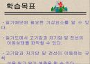 발견학습 수업모형 선택 일기도 13페이지
