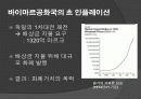 인플레이션 18페이지