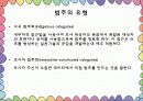 질적 자료 분석 22페이지