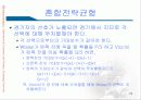 전략적 선택 24페이지
