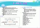 [행정조직론] 조직과 의사전달 13페이지