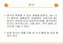 사회복지조사의 과정 5페이지