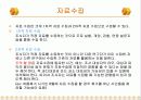 사회복지조사의 과정 13페이지