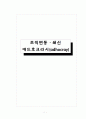 조직변동·쇄신 애드호크라시(adhocray) 1페이지