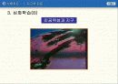 지구의 운동 - 지구의 자전, 공전 19페이지