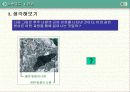 말의 진화(조상,화석) 14페이지
