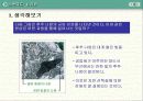 말의 진화(조상,화석) 15페이지